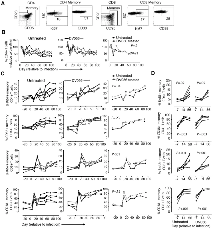TLR7 and TLR9 blockade does not diminish immune activation in SIV-infected rhesus macaques.