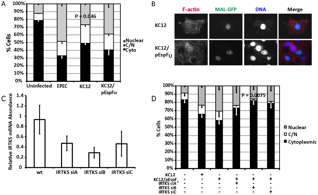 Tir<sup>EHEC</sup> can rescue the EPEC Δ<i>tir</i> loss of MAL-GFP translocation.