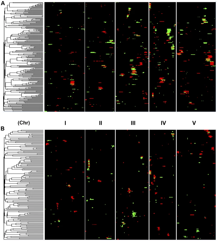 Genetic architecture of metabolite QTLs across the Kas x Tsu Genome.