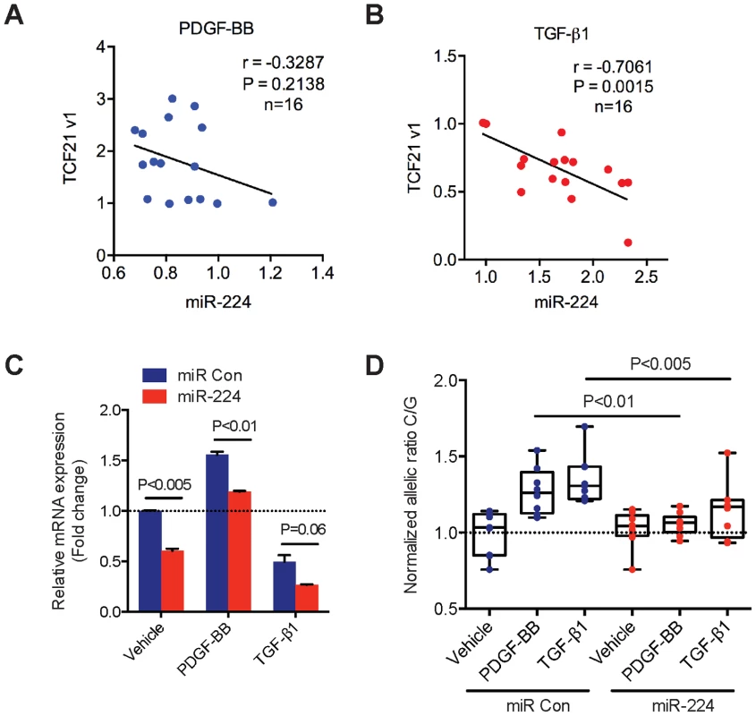 Correlation of endogenous <i>TCF21</i> and miR-224 expression levels in HCASMC.