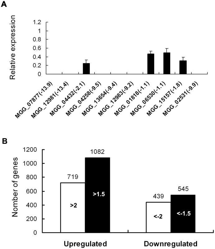 Differential gene expression analysis on transcriptomes of the <i>Δmosom1</i> mutant and Guy11 strains.