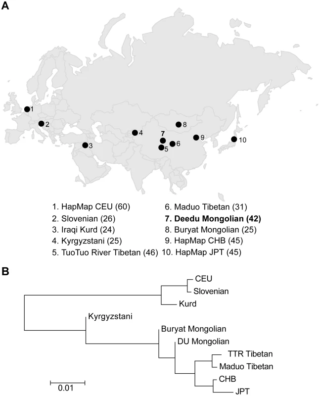 A) Northern Eurasian populations analyzed. The sampling location of each population is shown on the map, and the number of individuals in each population is shown at the bottom of the figure. B) Neighbor-joining tree for northern Eurasian populations based on the pairwise <i>F<sub>ST</sub></i>.