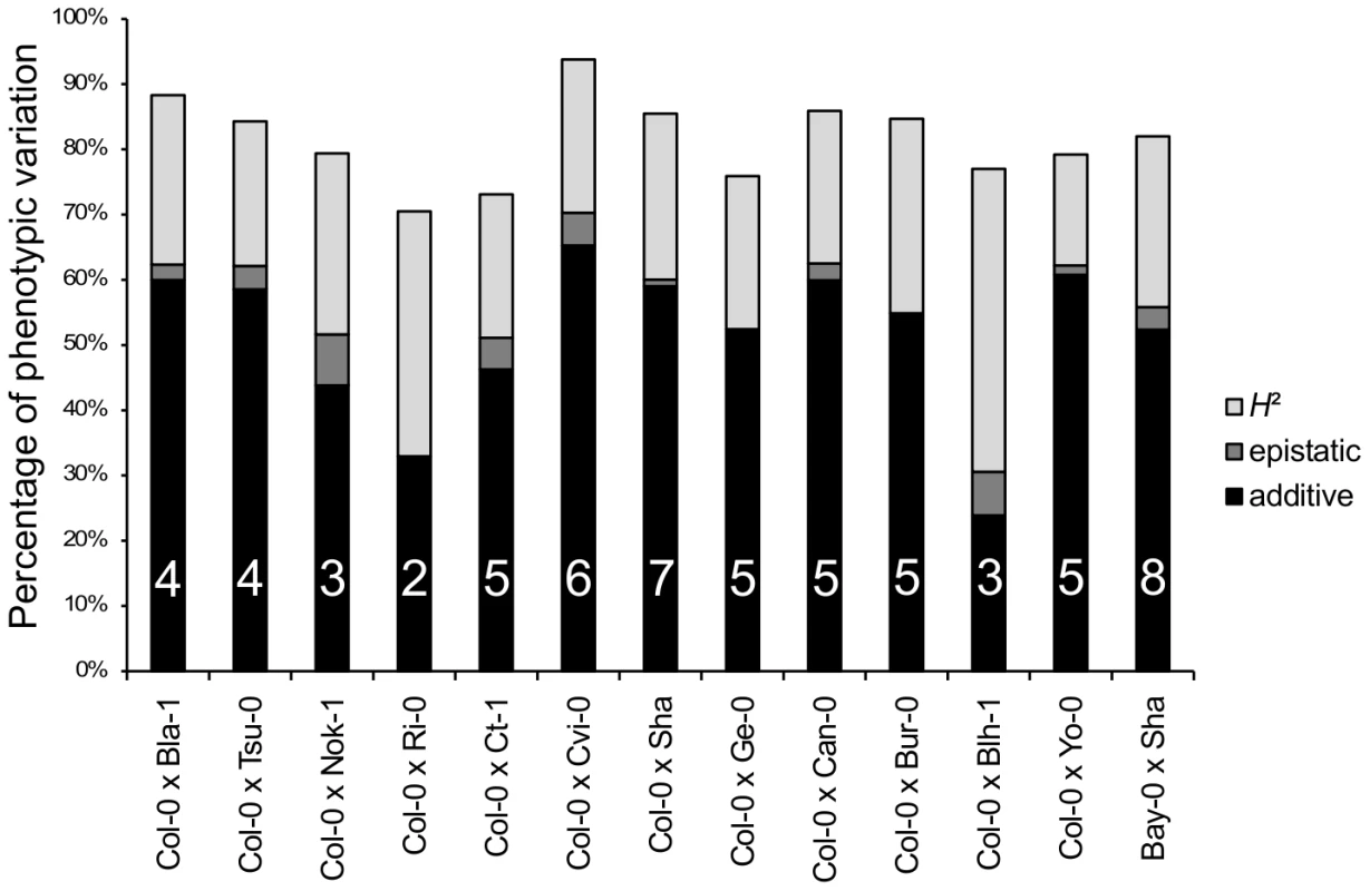 Broad-sense heritability, number of QTLs, and percentage of phenotypic variation explained by additive or epistatic QTLs for each of the 13 RIL families.