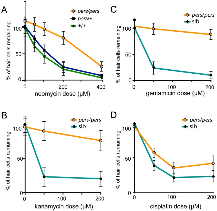 Protection of hair cells in the <i>persephone</i> mutant.