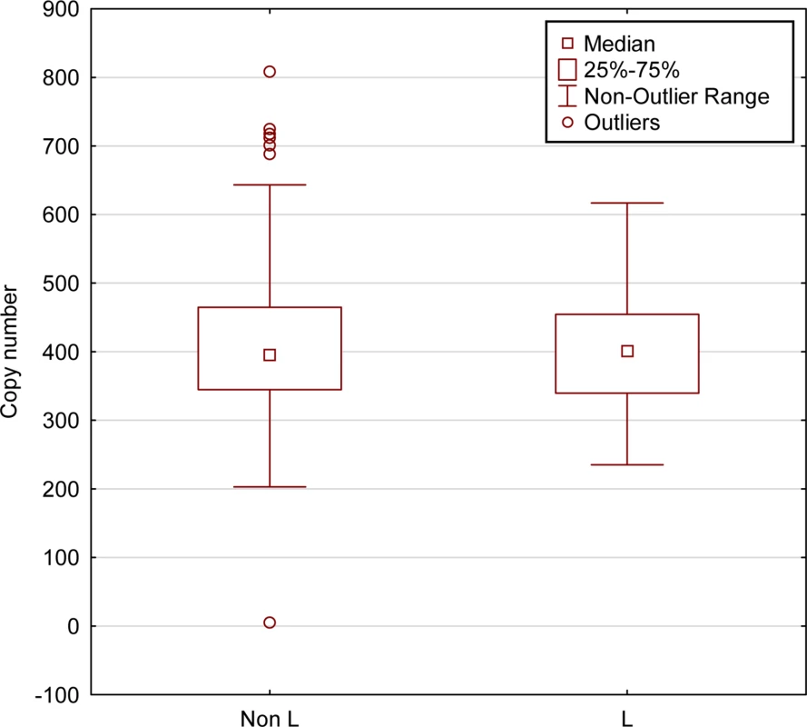 mtDNA copy numbers do not differ between L-haplogroup and non-L-haplogroup individuals.