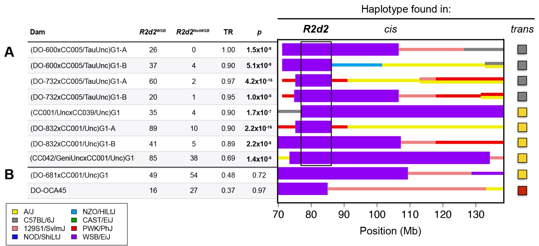 <i>R2d</i> maps to a 9.3 Mb candidate interval.