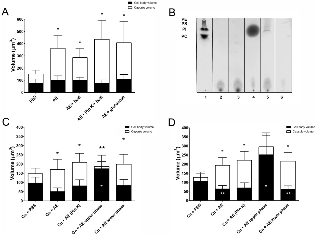 Capsular enlargement in response to different extracts.
