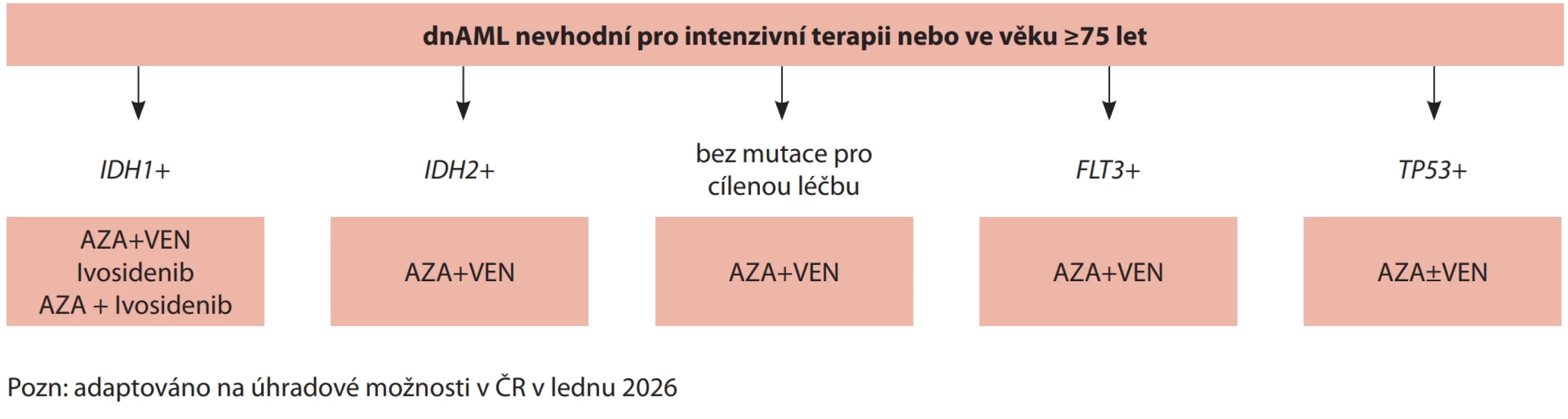 Algoritmus léčby pro dnAML nevhodných pro intenzivní terapii nebo ve věku ≥ 75 let.