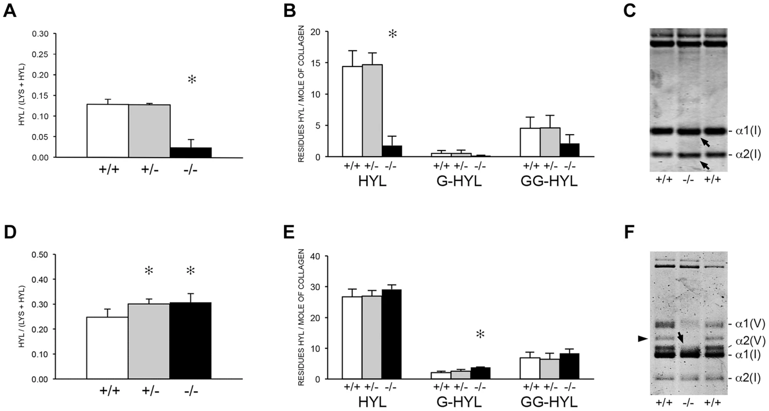 Post-translational modification of type I collagen from tissues.