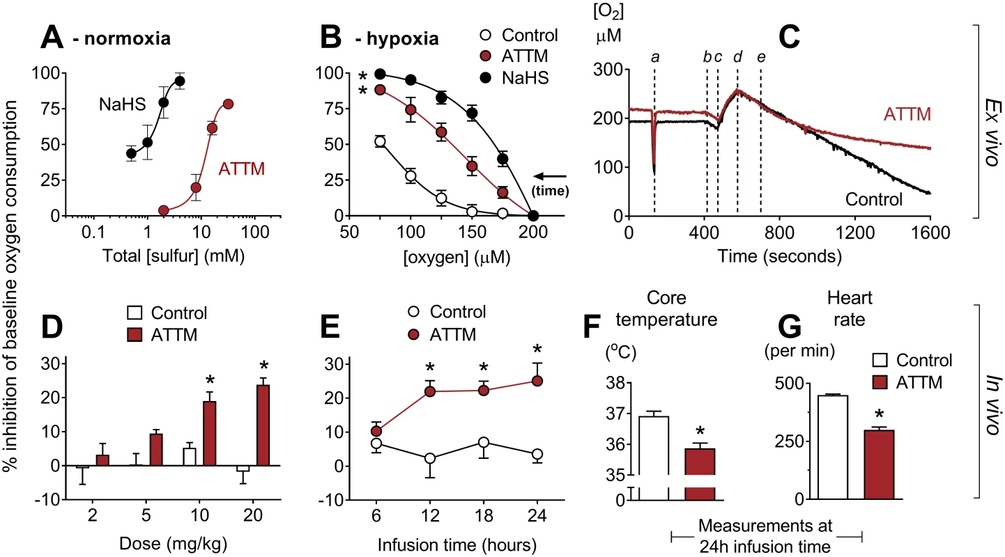 Inhibition of oxygen consumption by sulfide-containing drugs.
