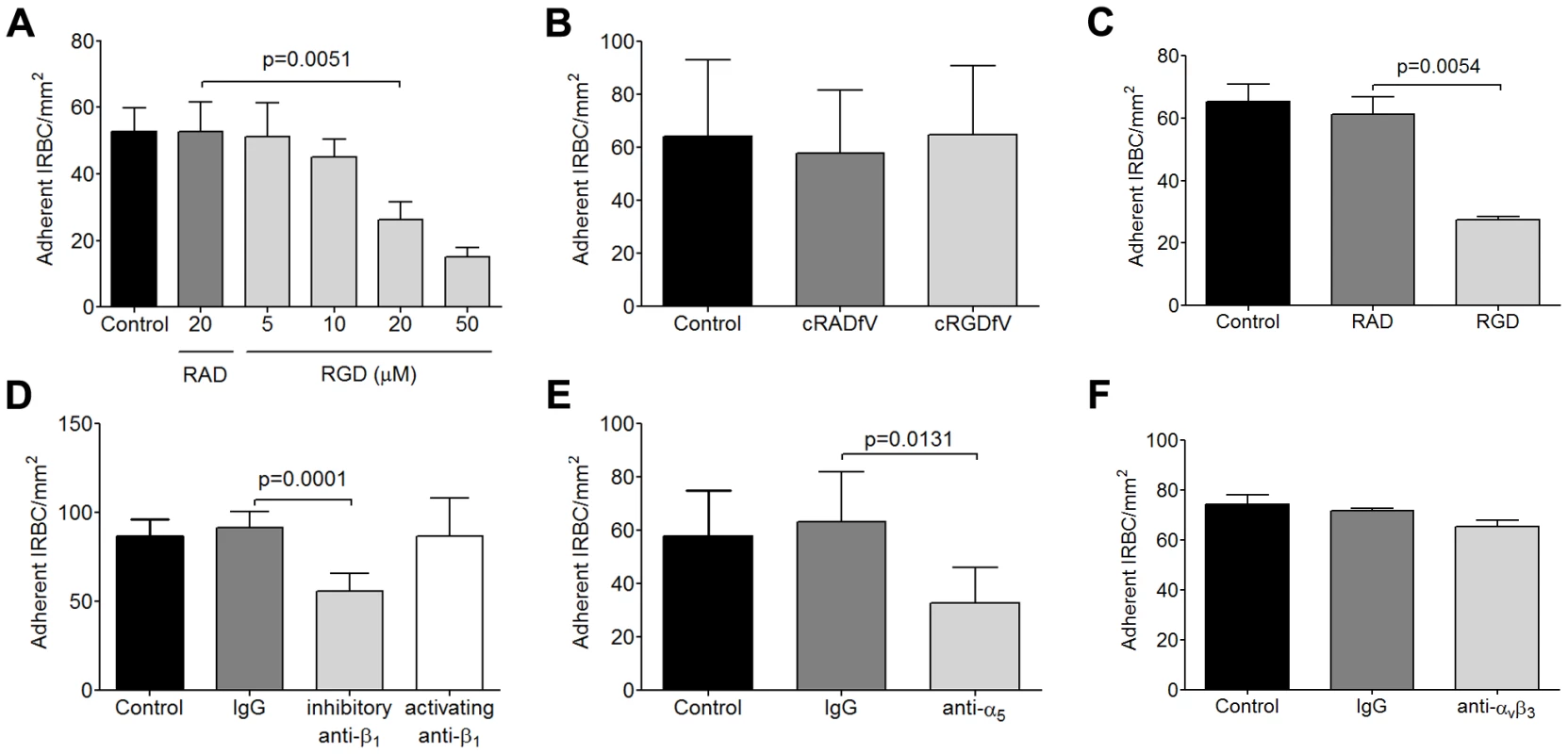 Inhibition of cytoadherence on HDMEC by RGD peptide and anti-b<sub>1</sub> and anti-a<sub>5</sub> mAb.