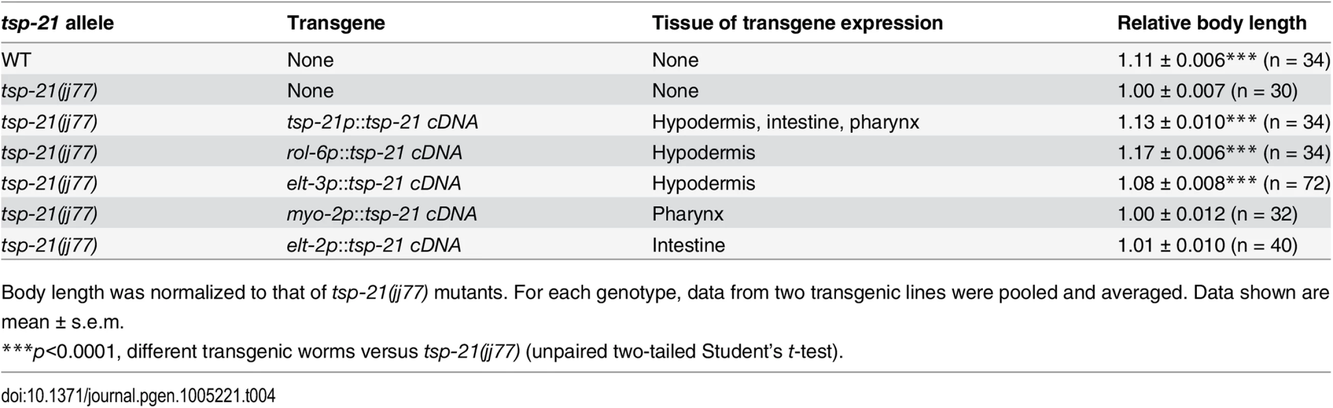 Rescue of the small body size of <i>tsp-21(jj77)</i> worms by tissue-specific expression of <i>tsp-21</i> cDNA.