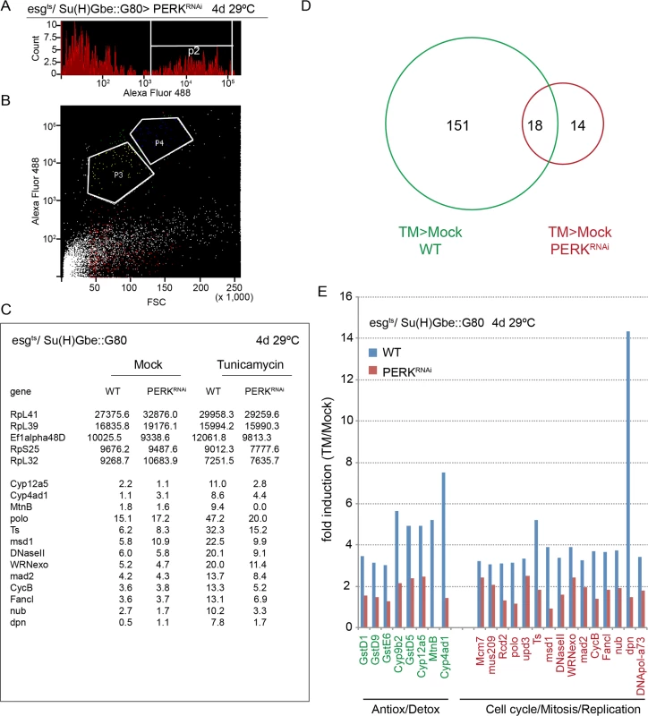 PERK-induced transcriptome changes in ISCs.