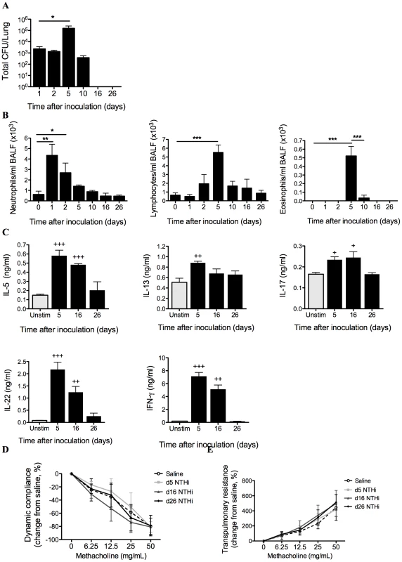 Characterization of NTHi infection.