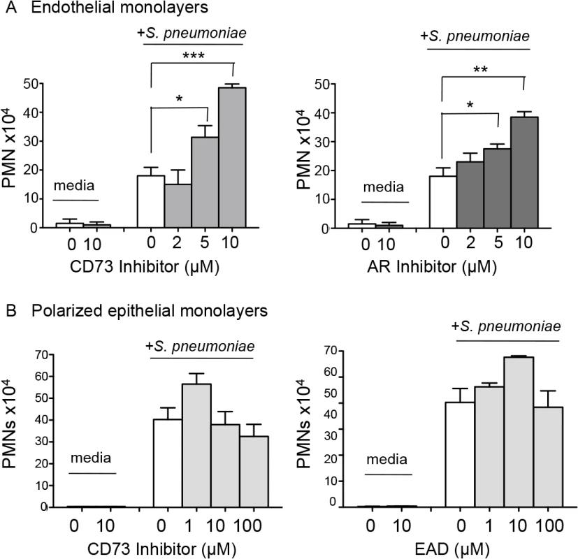 EAD negatively regulates PMN migration across the endothelium but not the epithelium.