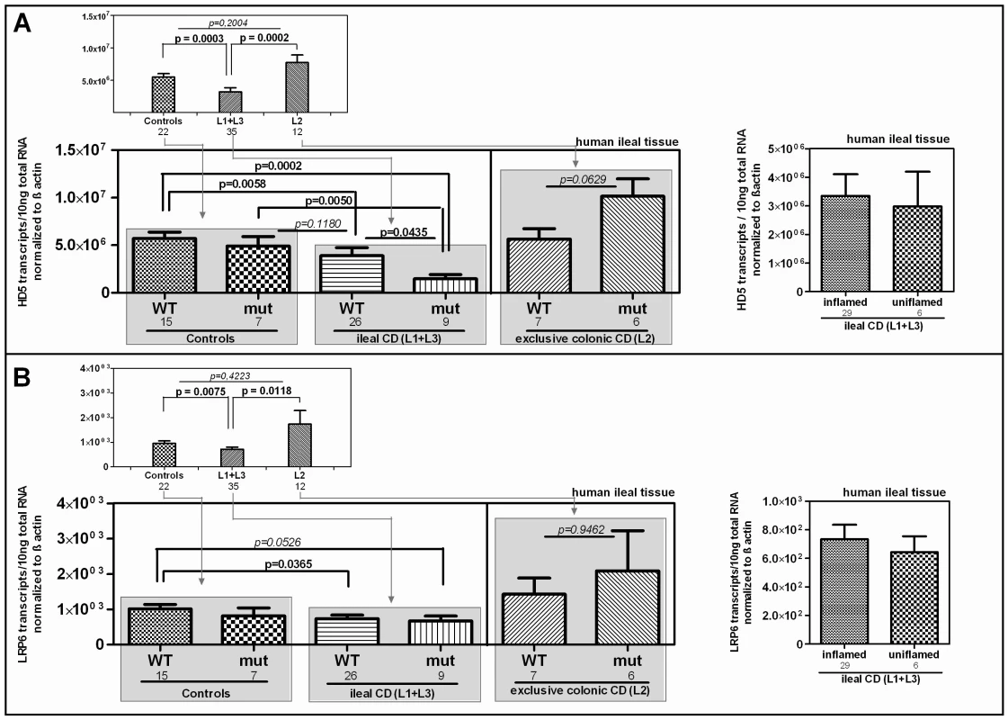 mRNA expression in ileal CD: Effect of the coding rare rs2302685 variant on the expression levels of HD-5 and LRP6.