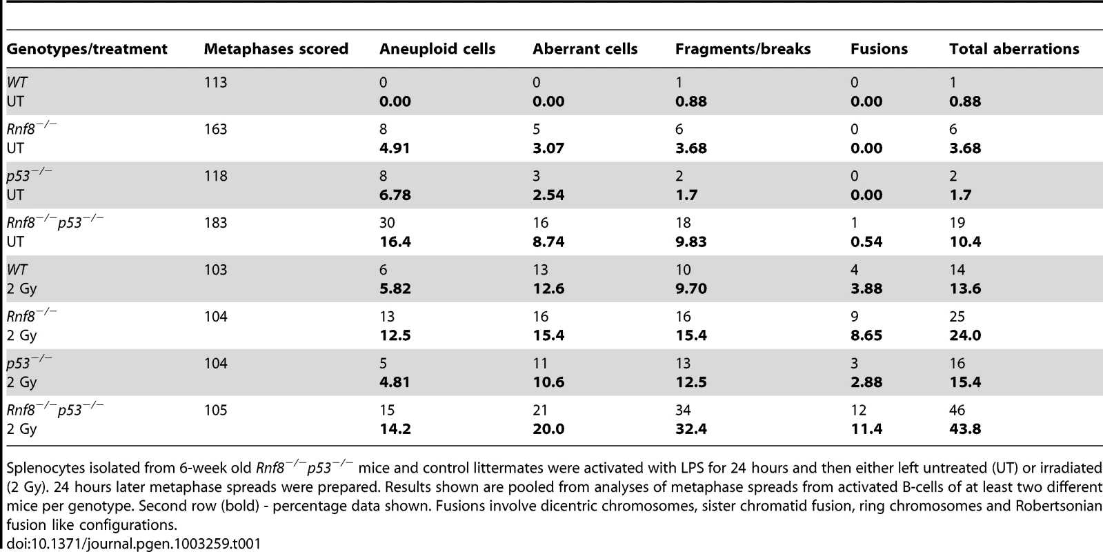 Dual loss of Rnf8 and p53 leads to increased aneuploidy and genomic instability.
