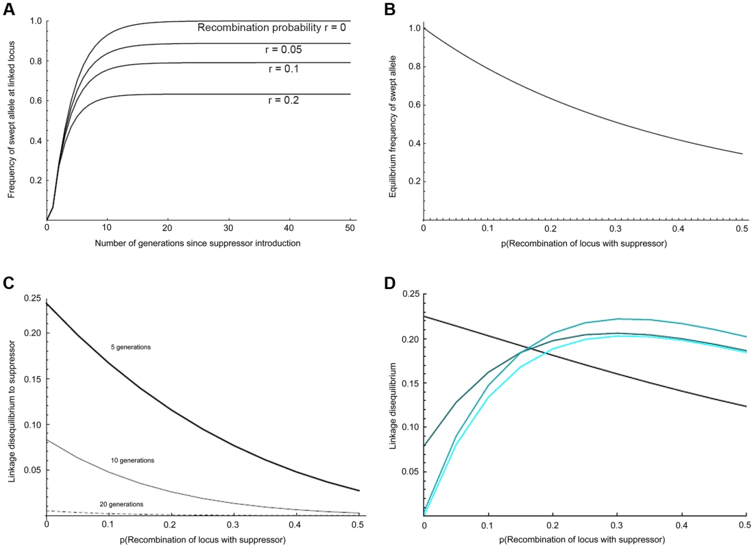 Predicted impact of selective sweep on the frequency and association of linked variants.