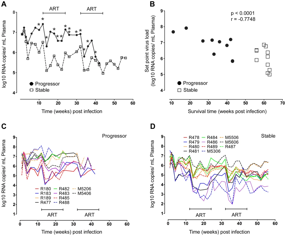 Relationship between virus load and disease progression in SIV infected macaques.
