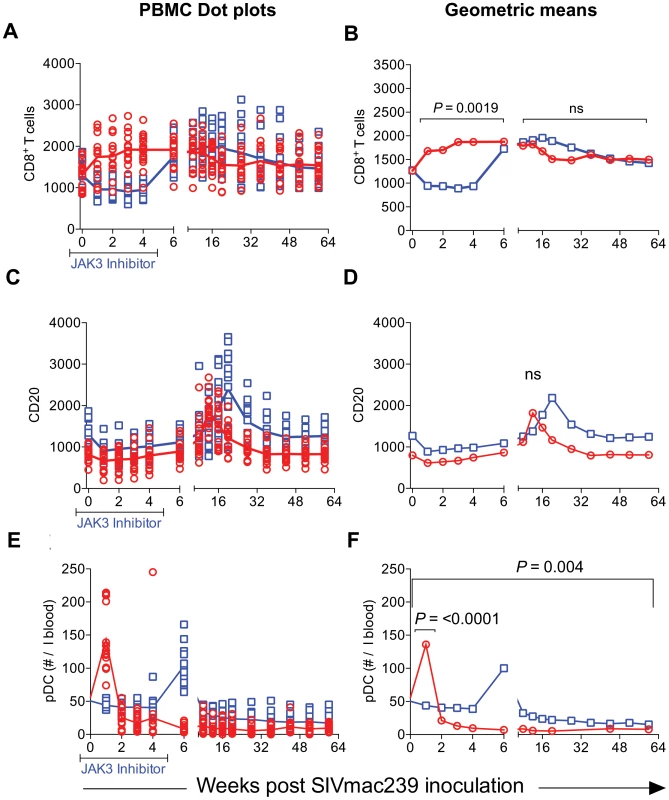 The absolute number of total CD8<sup>+</sup> T cells (A &amp; B), total B cells denoted as CD20 (C &amp; D) and plasmacytoid dendritic cells denoted as pDC (E &amp; F) in the PBMCs from the 2 groups of animals is illustrated as dot plots with means (A, C &amp; E) and geometric means (B, D &amp; F).