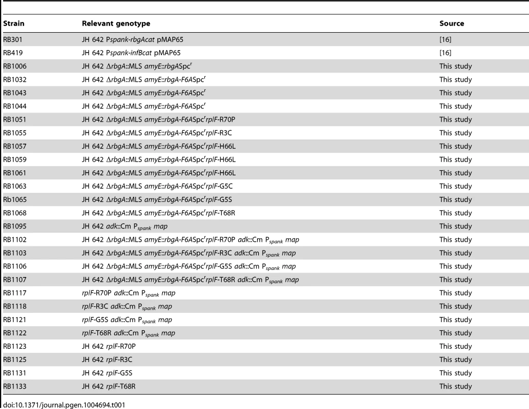 Strains used in this study.