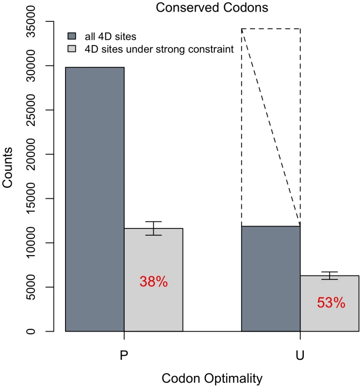 Codon optimality versus constraint in conserved codons.