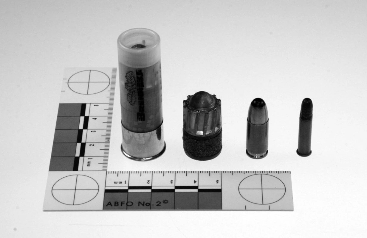 Struktura náboje Brenneke Classic ráže 16 a typické střely Brenneke stejné ráže ve srovnání s pistolovým nábojem ráže 9 mm Luger a malorážkovým nábojem ráže .22 LR (zleva doprava)
