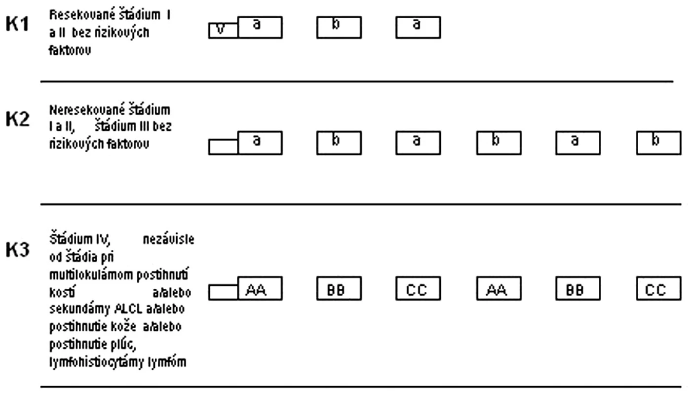 Protokol NHL BFM 95 – III. terapeutická skupina.

K1, K2, K3 – rizikové skupiny, V – predfáza, a, b, AA, BB, CC – jednotlivé cykly chemoterapie
V: predfáza: dexametazón, cyklofosfamid, i. th: metotrexát, cytarabín, prednizolón
a: dexametazón, metotrexát 500 mg/m<sup>2</sup> v 24-hod. + leukovorín, ifosfamid, cytarabín, etopozid, i. th metotrexát, cytarabín, prednizolón
AA: dexametazón, vincristín, metotrexát 5g/m<sup>2</sup> v 24-hod. inf. + leukovorín, ifosfamid, cytarabín, etopozid, i. th metotrexát, cytarabín, prednizolón
b: dexametazón, metotrexát 500 mg/m<sup>2</sup> v 24-hod. inf. + leukovorín, cyklofosfamid, doxorubicín, i. th metotrexát, cytarabín, prednizolón
BB: dexametazón, vincristín, metotrexát 5g/m<sup>2</sup> v 24-hod. inf. + leukovorín, cyklofosfamid, doxorubicín, i. th metotrexát, cytarabín, prednizolón
CC: dexametazón, vindezín, cytarabín, etopozid, i. th metotrexát, cytarabín, prednizolón