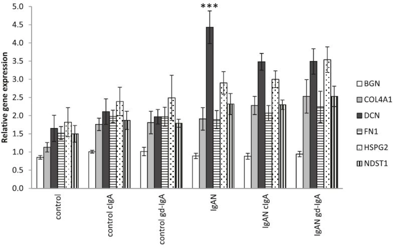 Gene expression of matrix associated genes. One of the main findings in IgAN is expanded mesangial matrix and mesangial proliferation. In order to investigate if cells from patients with IgA-depositions in the kidney express more matrix associated genes we investigated the gene expression of selected matrix genes, namely; BGN (biglycan), COL4A1 (collagen alpha-1(IV) chain), DCN (decorin), FN1 (fibronectin), HSPG2 (perlecan) and NDST1 (heparan sulfate N-deacetylase/N-sulfotransferase 1). The expression of DCN (a small proteoglycan) was significantly higher in untreated IgAN MCs than controls. Overall we could see a trend that IgAN MCs had a higher expression of matrix genes, in the unstimulated groups, and that stimulation with cIgA and gd-IgA increased the expression for all groups. * <i>P</i> < 0.05, ** <i>P</i> < 0.01, ***<i>P</i> < 0.001, error bars represent SEM