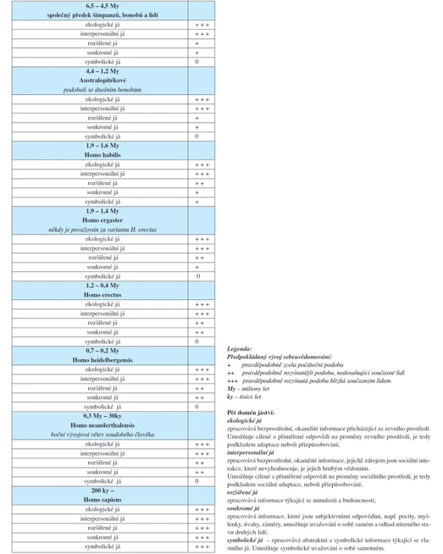 Hypotetická evoluce sebeuvědomování (Leary 2003; 14) v tradičním vývojovém schématu našeho druhu