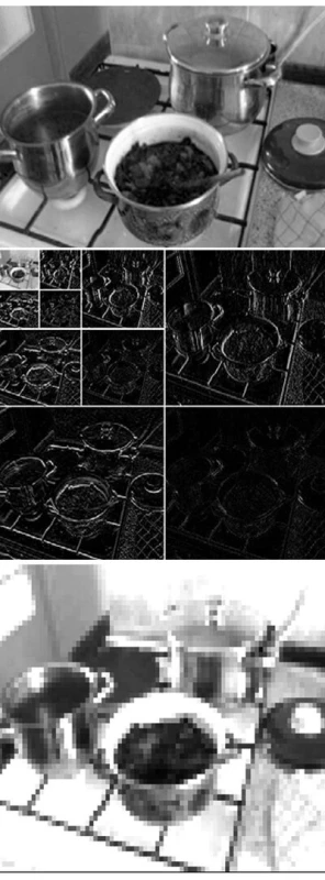 a. Obrazová informace z kamery před kompresí
b. Dekompozice obrazu wavelet tranformací do 3. stupně (zmenšení 1 : 64). Kombinací těchto komponent lze bezeztrátově rekonstruovat původní obrázek
c. Komprimovaný obraz obsahuje 97,8 % informací původního obrazu a lze jej zobrazit ve 12 stupních intenzity proudu (stupňů šedi) v elektrodovém poli 60 x 40 elektrod na kůži trupu