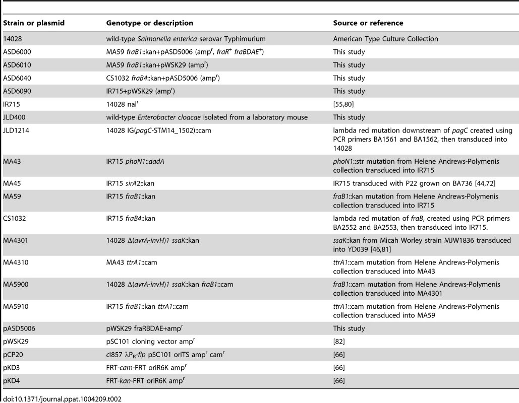 Bacterial strains and plasmids.