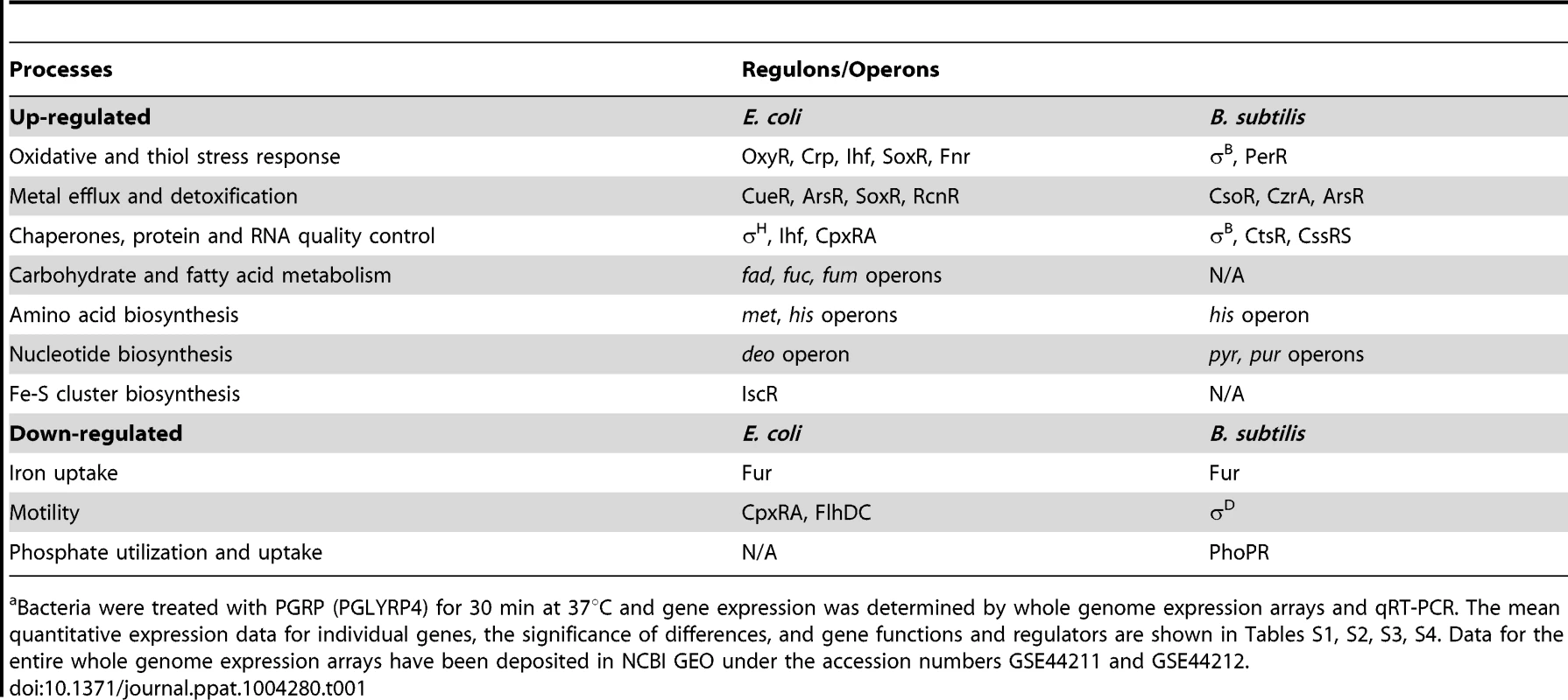 Top up-regulated and down-regulated processes and regulons/operons in PGRP-treated <i>E. coli</i> and <i>B. subtilis</i><em class="ref">a</em>.