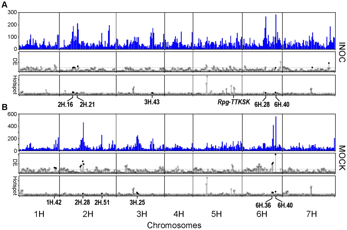 Distribution of eQTL, hotspots, and differentially expressed genes across the QSM genetic map in INOC (<i>Pgt</i> race TTKSK) and MOCK experiments.