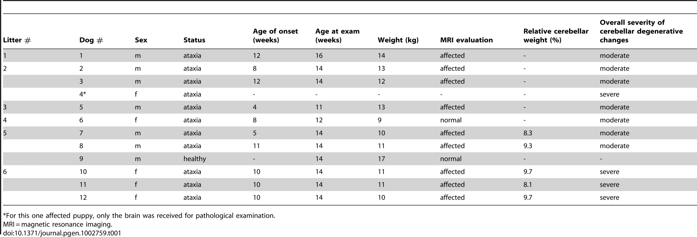 A summary of clinical and pathological examinations in Finnish Hound puppies.