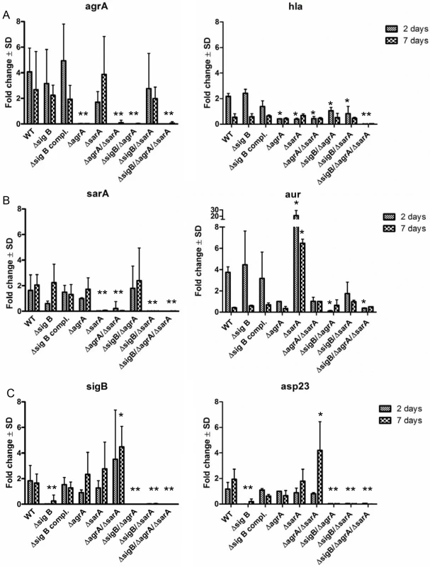 Differential expression of the regulators <i>agr</i>, <i>sarA</i> and <i>sigB</i> during the course of host cell infection in wild-type LS1 and the corresponding mutants.