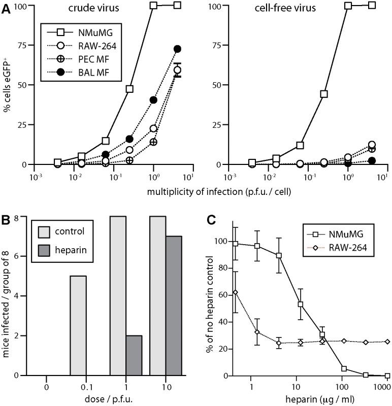 Sensitivity of host entry to inhibition by heparin.