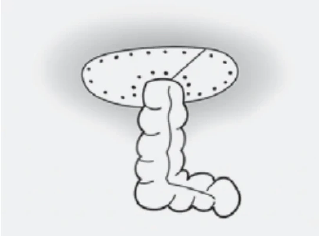 . / Fig. 4.