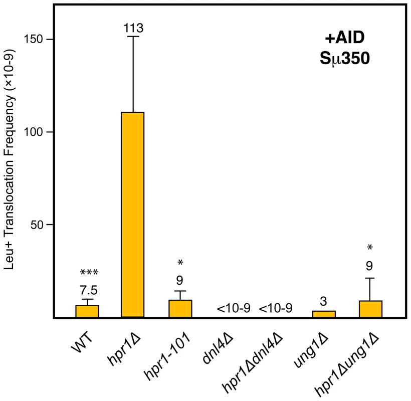 Analysis of Leu+ translocations in mutant strains overexpressing AID.