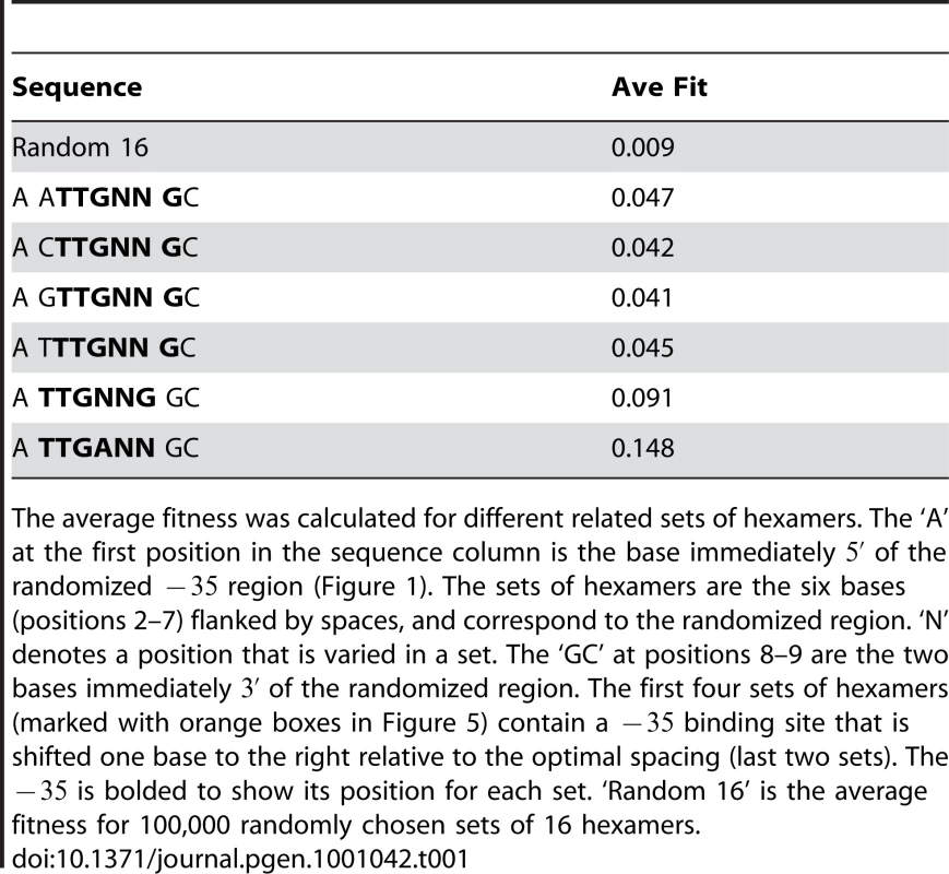 A shorter spacing between the −35 and −10 reduces fitness.