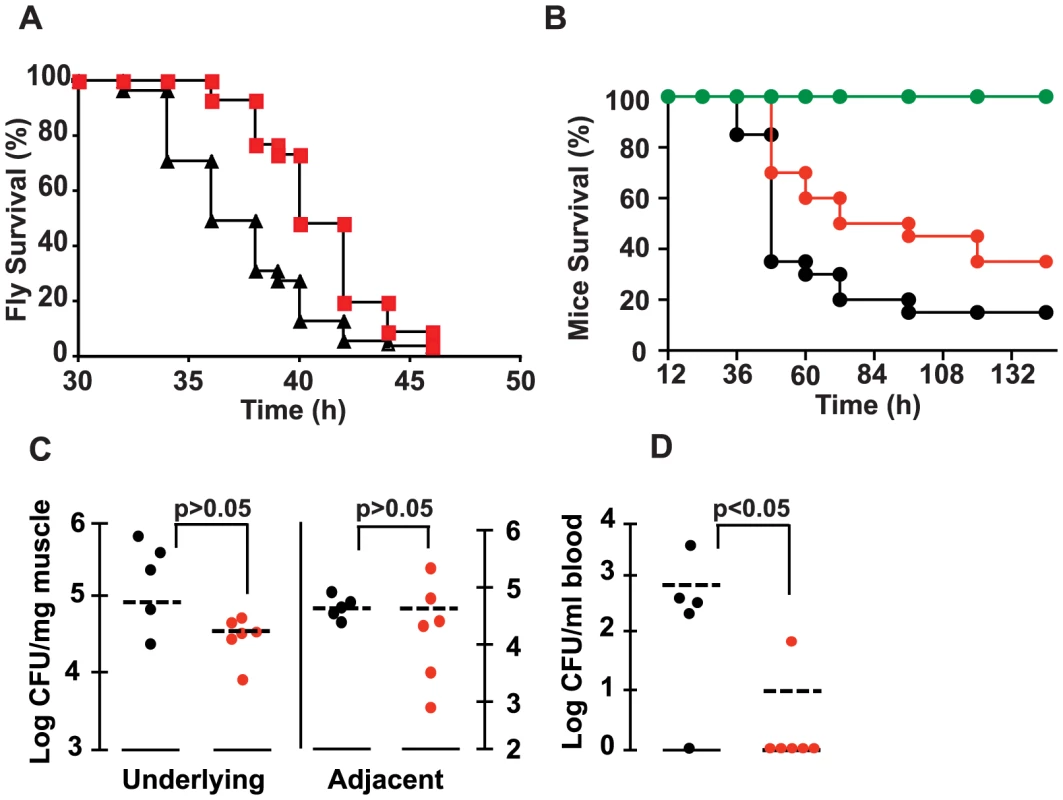 2-AA reduces <i>P. aeruginosa</i> virulence.