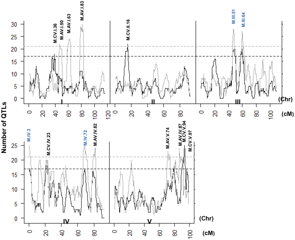 QTL hotspots for metabolite average and CV.