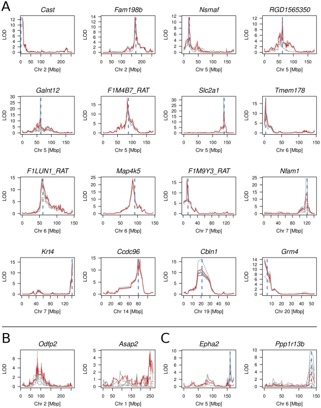 Multi-point linkage plots of meth-QTLs.