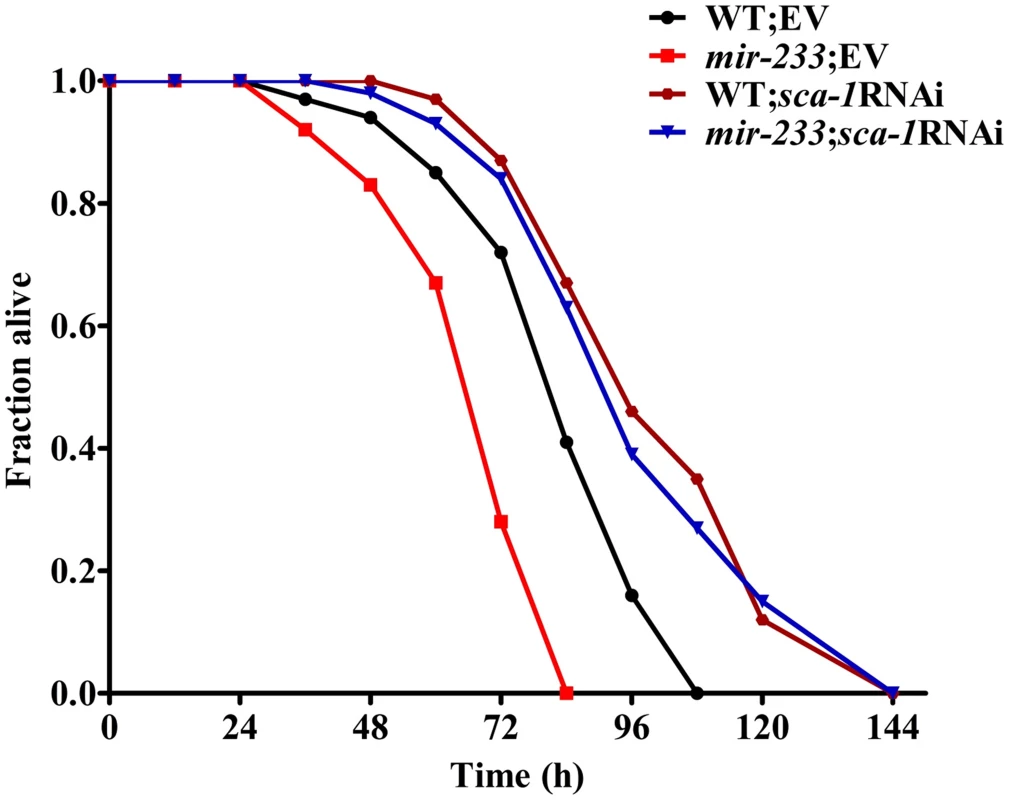 <i>sca-1</i> RNAi leads to enhanced resistance to <i>P. aeruginosa</i> infection.