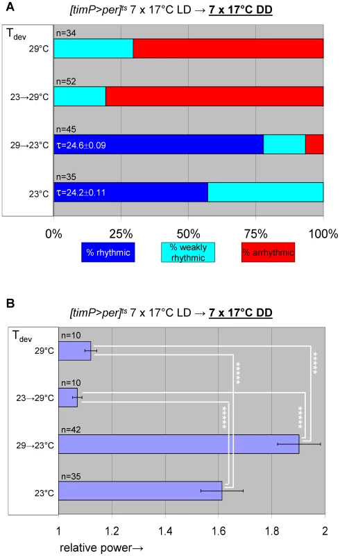Over-expression of <i>per</i> in clock-bearing cells during metamorphosis disrupts locomotor activity rhythms in adults.