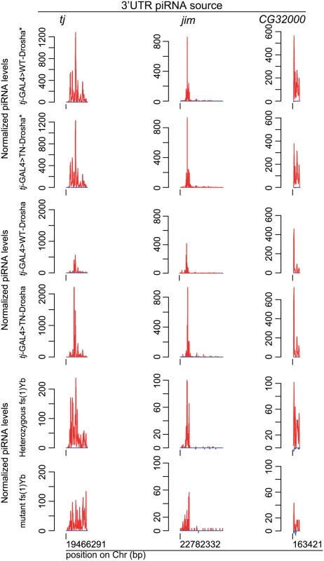 The amount of 3’UTR-derived piRNAs does not decrease in follicle cells lacking Drosha activity.