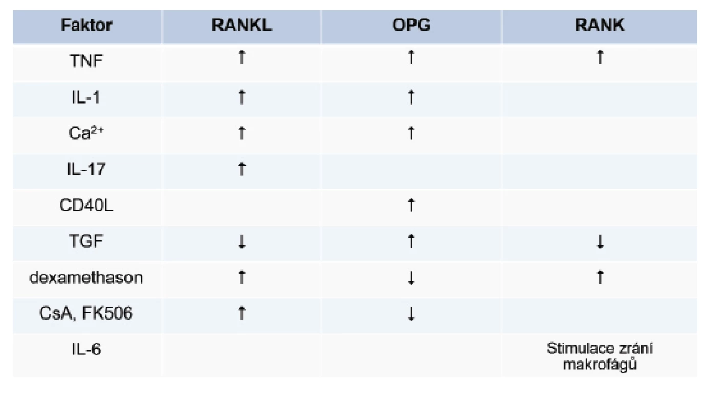 Faktory modulující expresi RANK / RANKL