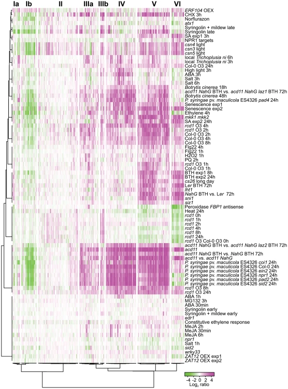 Cluster analysis of genes differentially regulated in <i>rcd1</i> compared to Col-0.