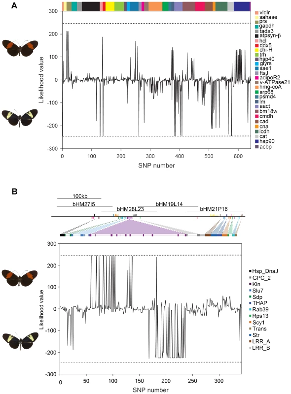 Relative likelihood of association between <i>H. heurippa</i> and <i>H. m. melpomene</i> versus <i>H. c. cordula</i> for (A) genes unlinked to color pattern and (B) across the <i>HmB</i> red color pattern locus.