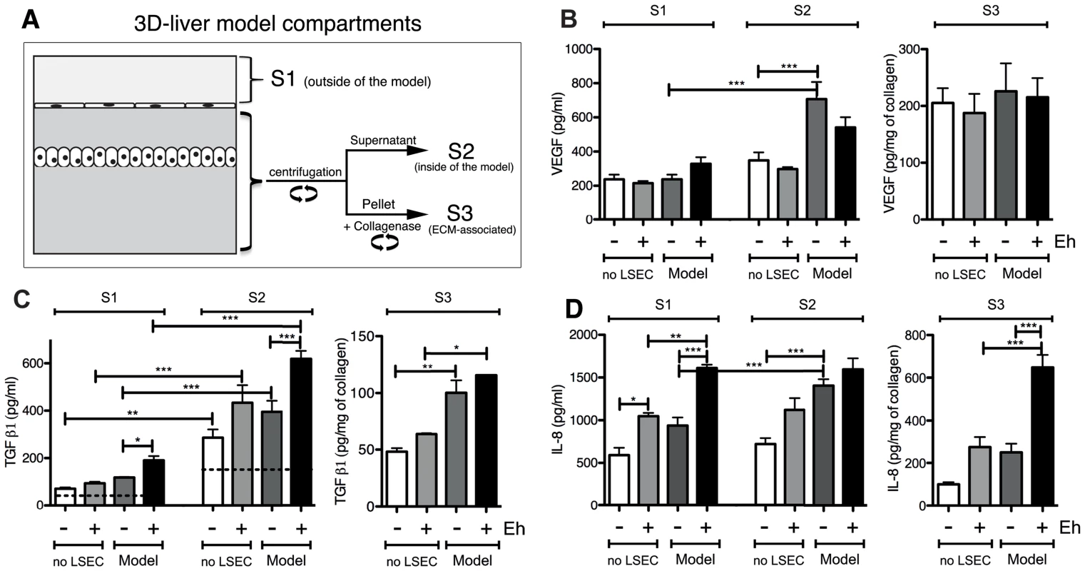 Human cytokine and growth factor profile in the absence or the presence of <i>E. histolytica</i>.